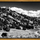The Cove_Martins Cove