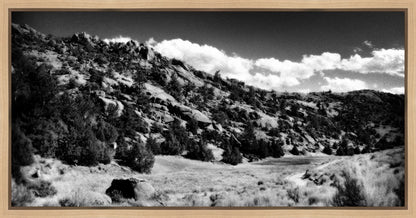 The Cove_Martins Cove