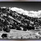 The Cove_Martins Cove
