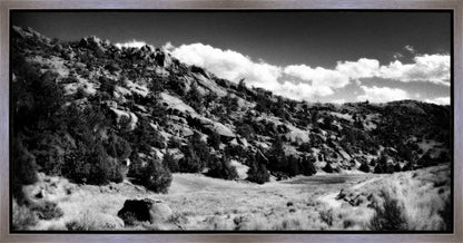 The Cove_Martins Cove