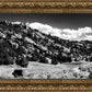 The Cove_Martins Cove