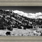 The Cove_Martins Cove