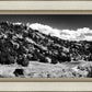 The Cove_Martins Cove