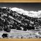 The Cove_Martins Cove
