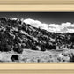The Cove_Martins Cove