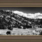 The Cove_Martins Cove