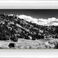 The Cove_Martins Cove