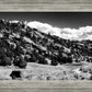 The Cove_Martins Cove