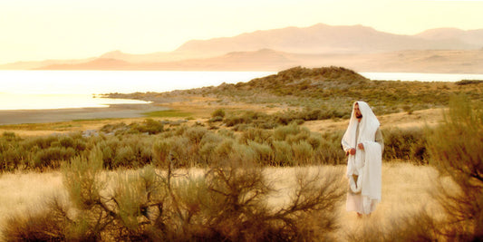 The Lord is My Shepherd Faux Mat