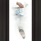 Fount of Living Water