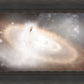 Worlds Without End