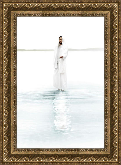 Come and see Blue Vertical