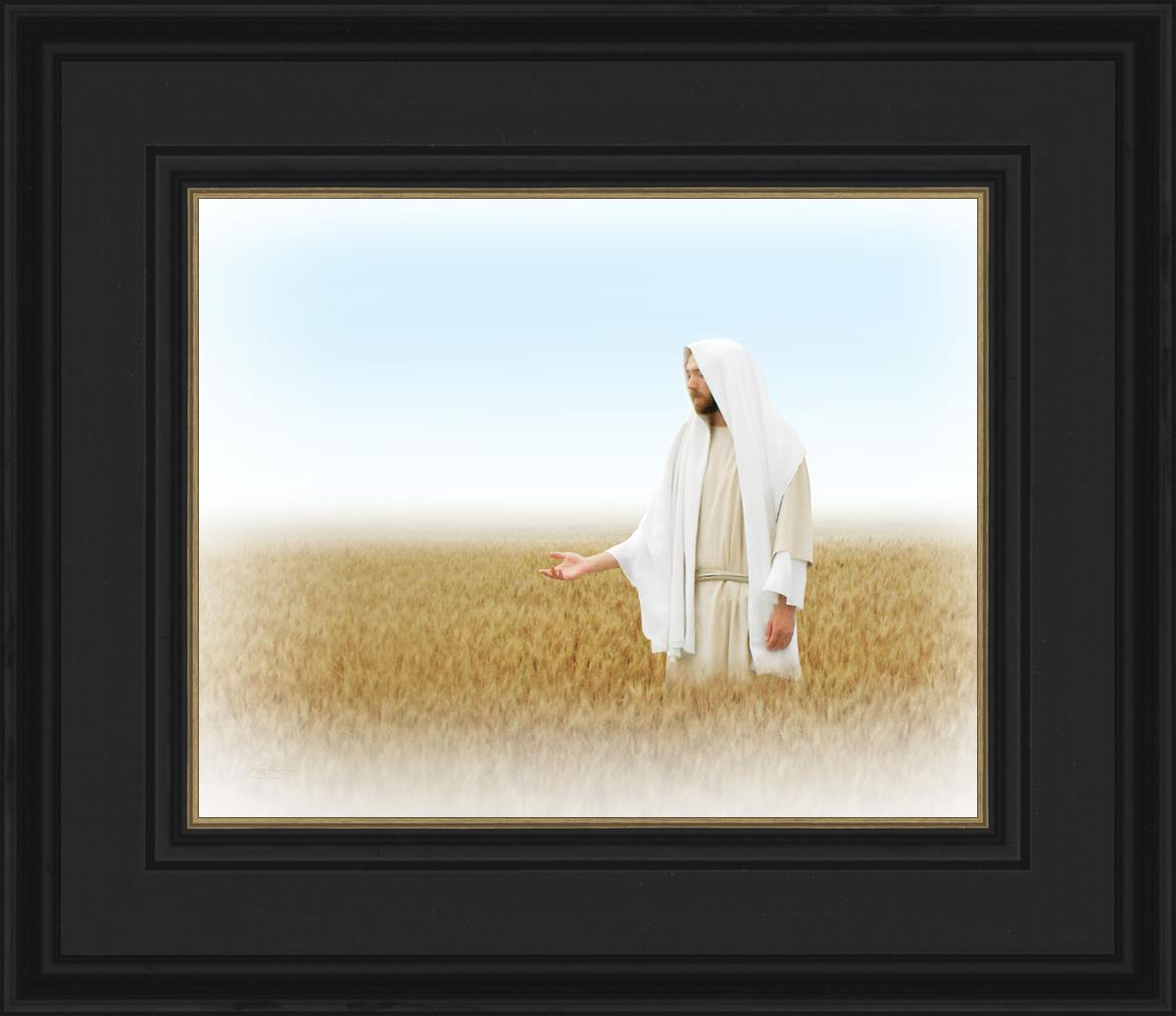Lord of the Harvest