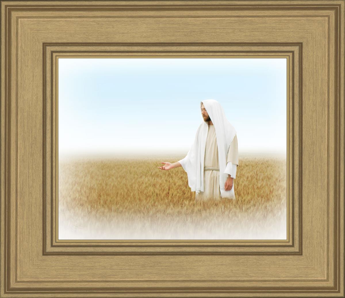 Lord of the Harvest