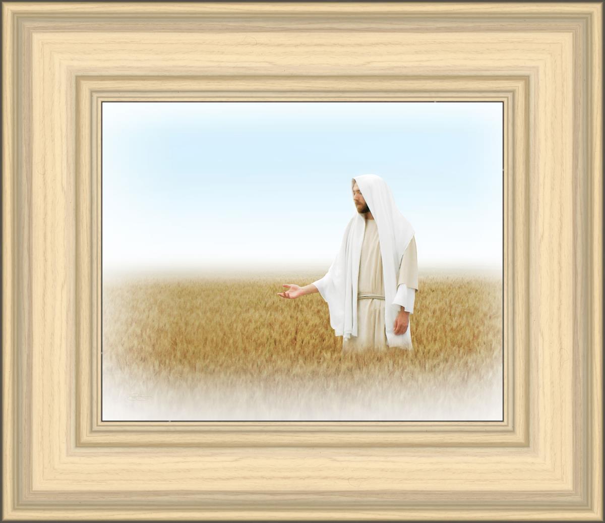 Lord of the Harvest