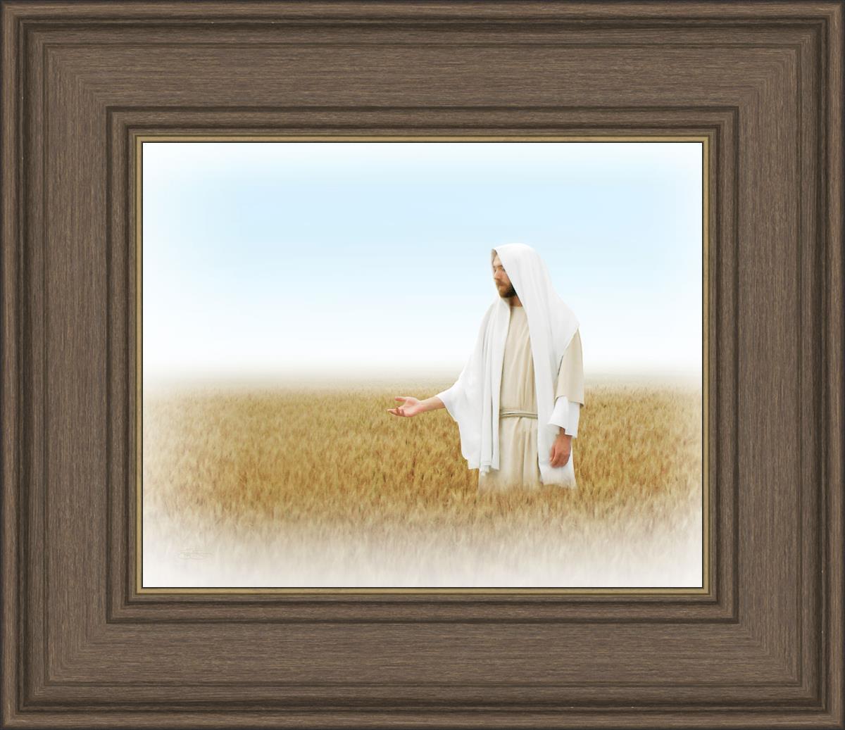 Lord of the Harvest