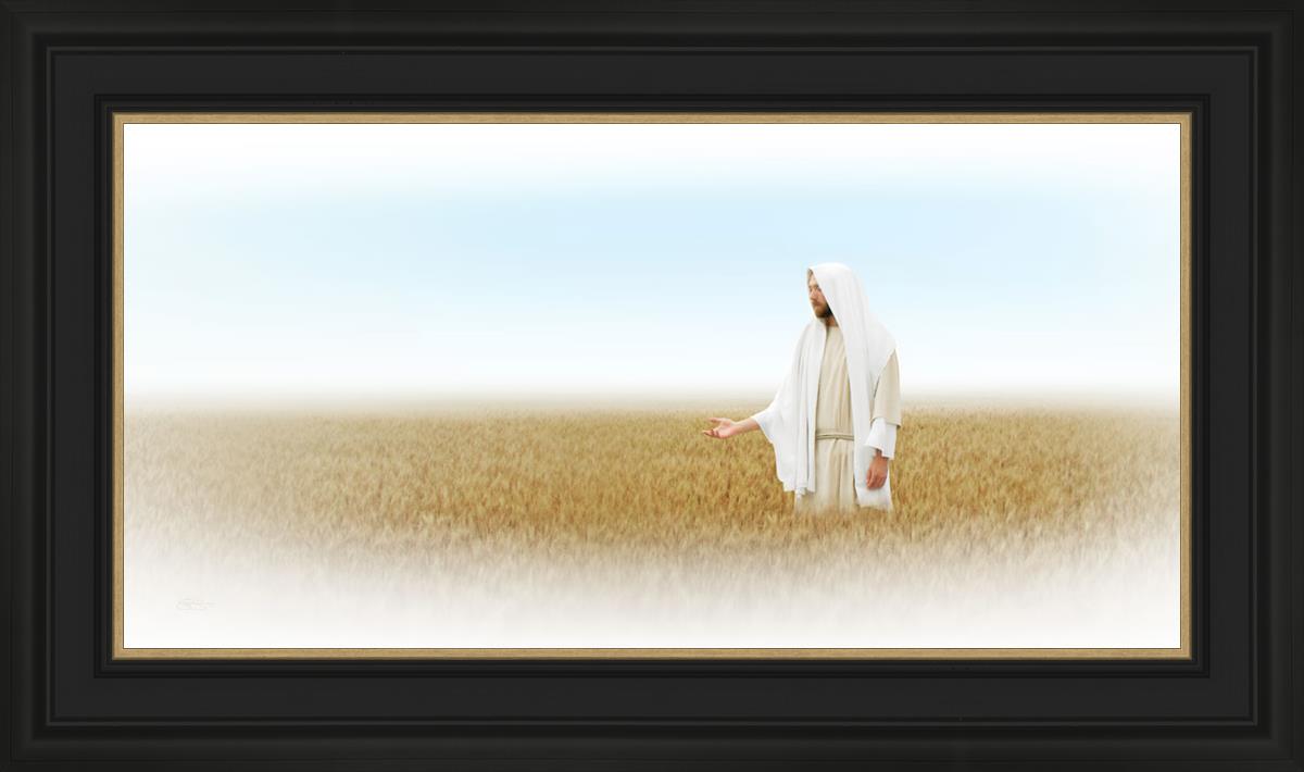 Lord of the Harvest