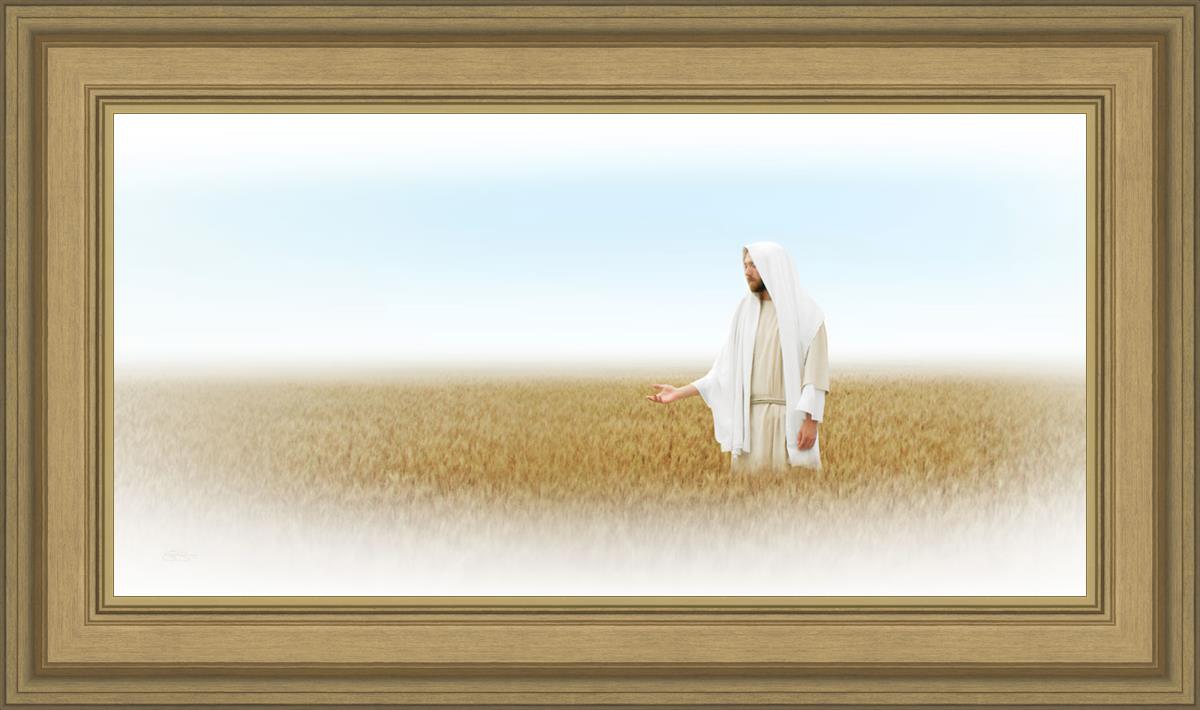 Lord of the Harvest
