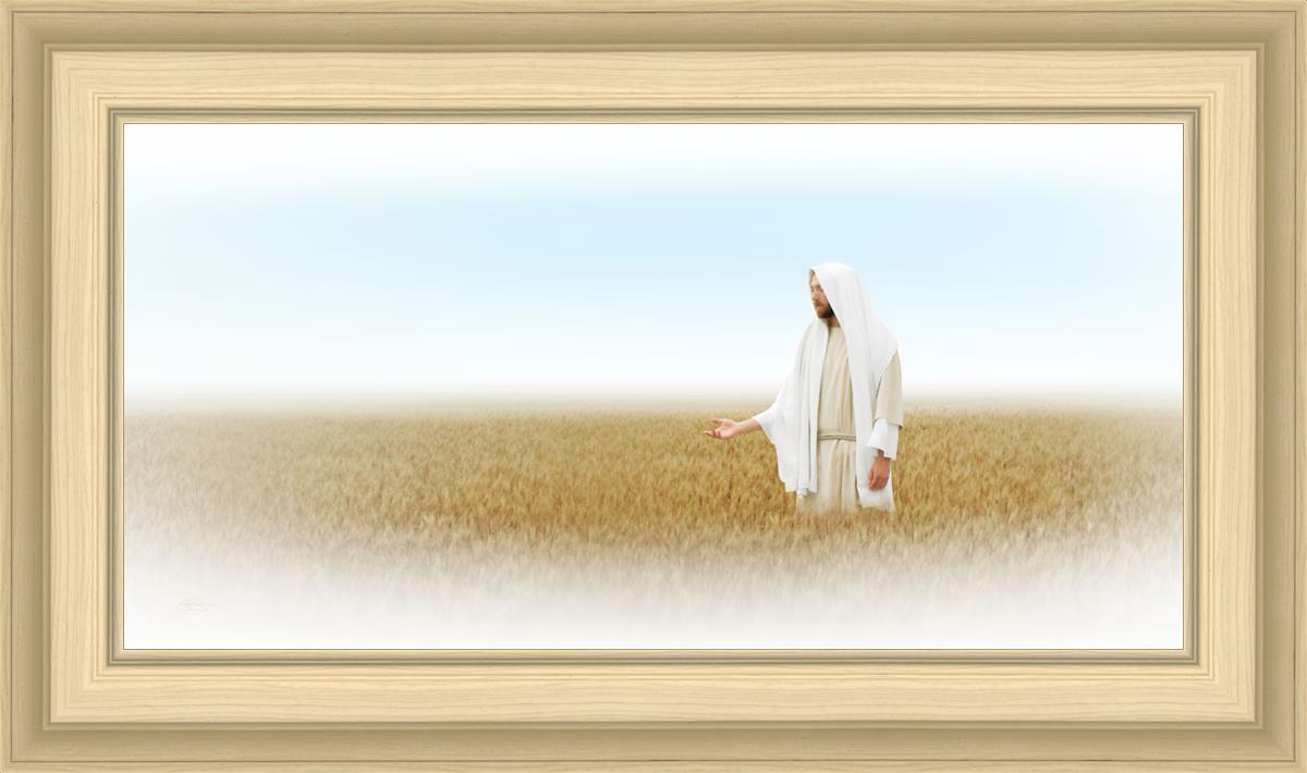 Lord of the Harvest