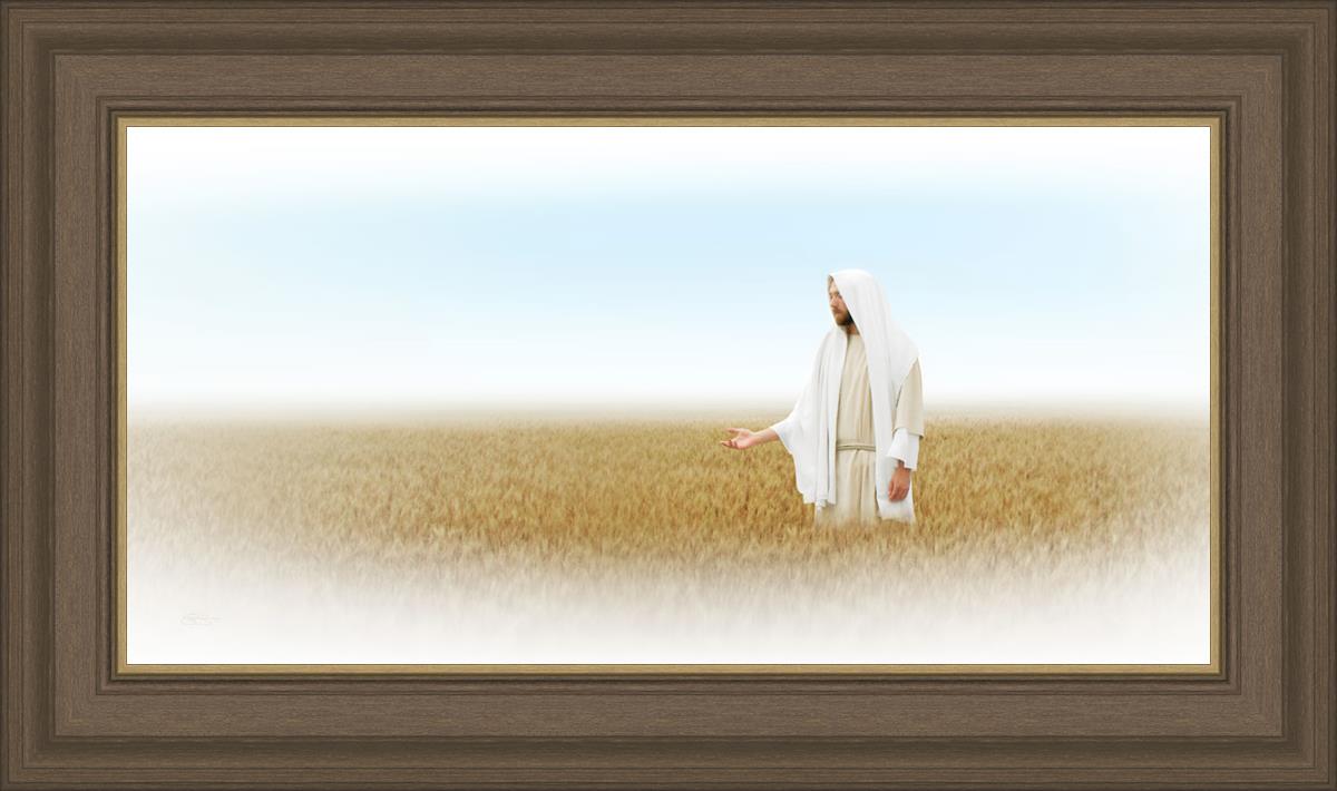 Lord of the Harvest