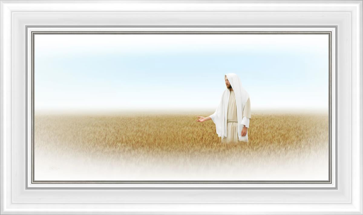 Lord of the Harvest