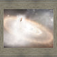 Worlds Without End