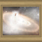 Worlds Without End