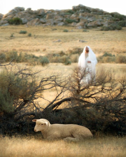 He Will Find Me Large Wall Art Gallery Wrap