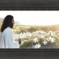 Consider The Lilies