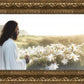Consider The Lilies