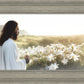 Consider The Lilies