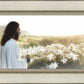 Consider The Lilies
