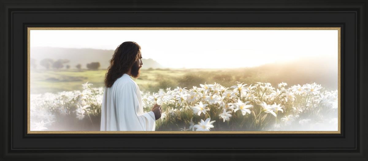 Consider The Lilies