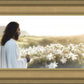 Consider The Lilies