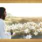 Consider The Lilies