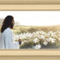 Consider The Lilies