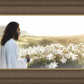 Consider The Lilies