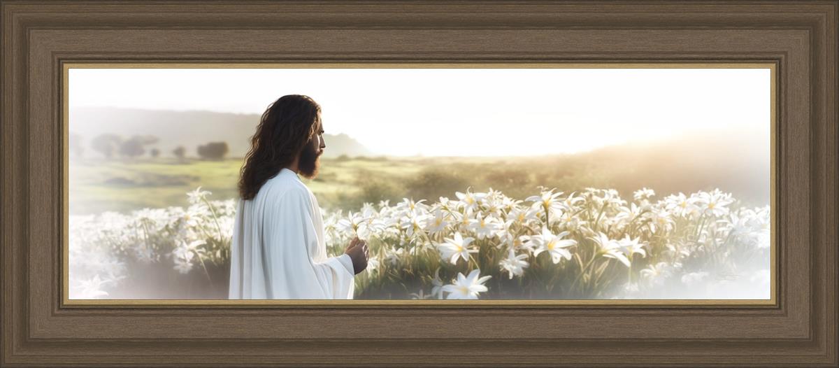 Consider The Lilies