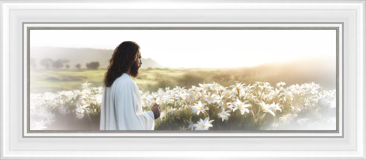Consider The Lilies