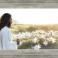 Consider The Lilies