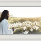 Consider The Lilies