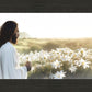 Consider The Lilies