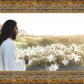 Consider The Lilies