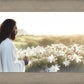 Consider The Lilies