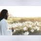Consider The Lilies