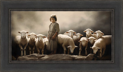 Of Lambs and Shepherds