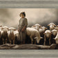Of Lambs and Shepherds