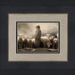 Of Lambs and Shepherds
