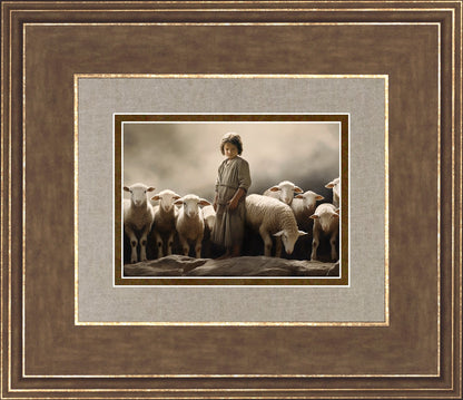 Of Lambs and Shepherds