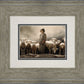 Of Lambs and Shepherds